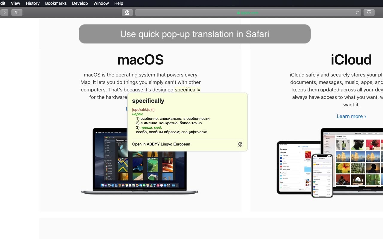 Screenshot do app ABBYY Lingvo European