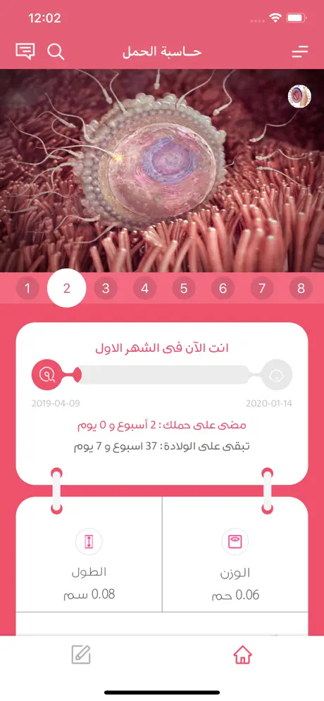 حاسبة الحمل