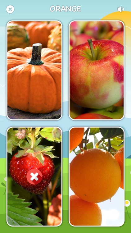 Sounds of Farm, Wild Animals!