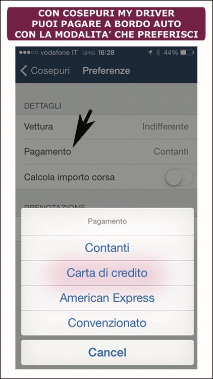 Cosepuri My Driver screenshot-3