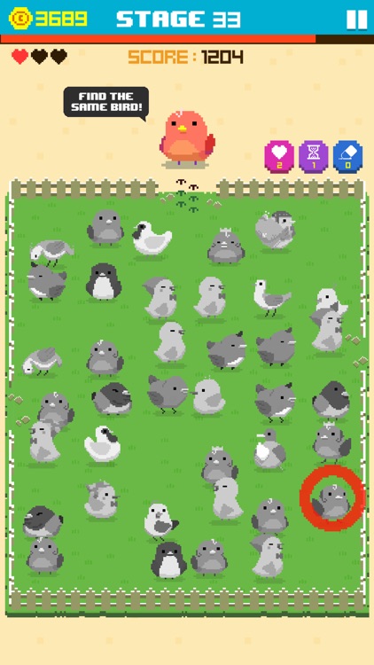 Find Bird - match puzzle