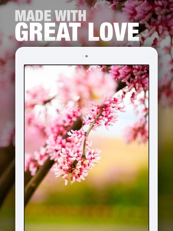 Screenshot #5 pour Wallpapers with Love