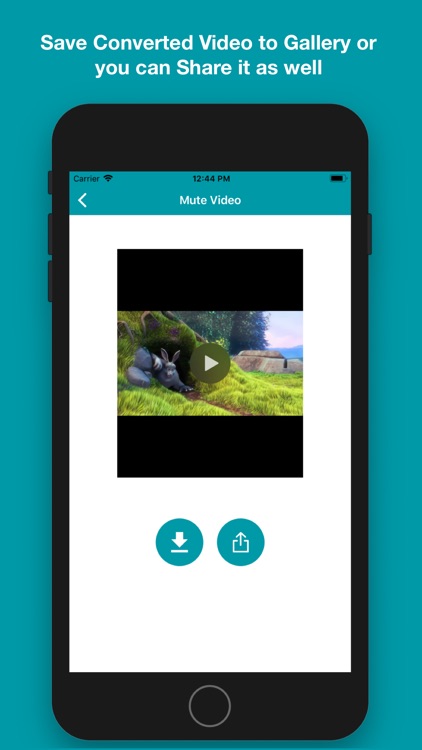 Mute Video - Video Mute
