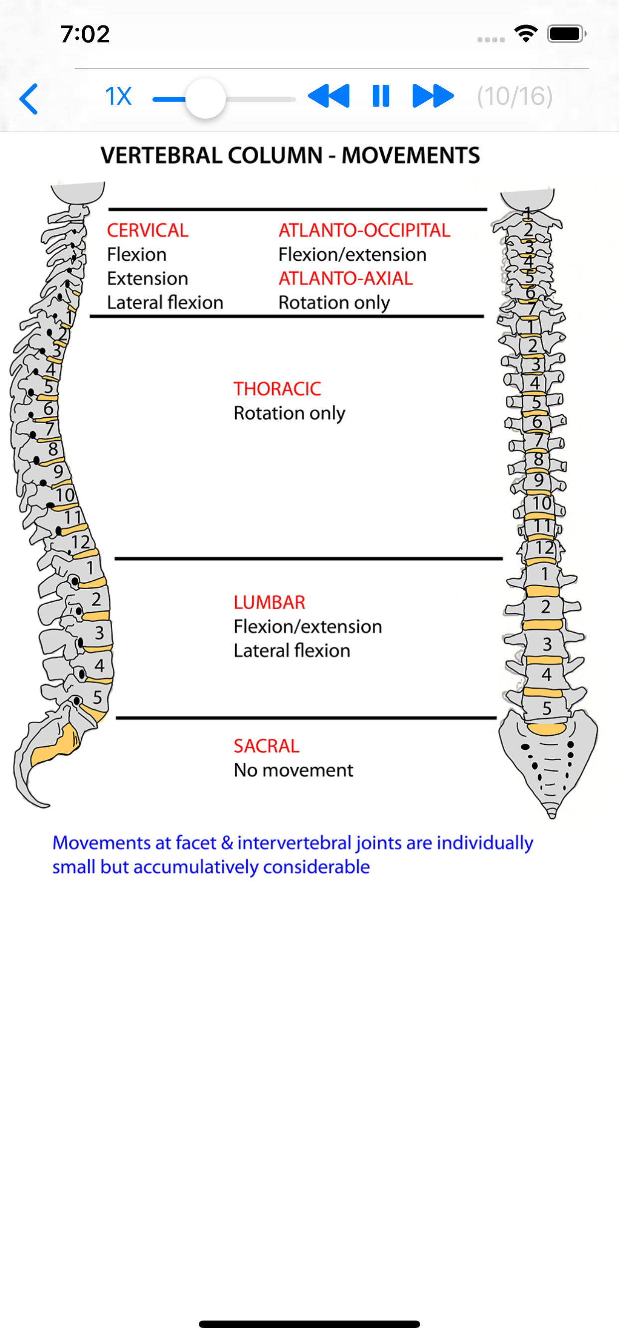 Anatomy Lectures Head and Neck screenshot 3