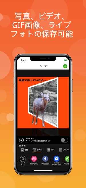 Popagraph 写真編集 画像加工 写真文字入れ をapp Storeで