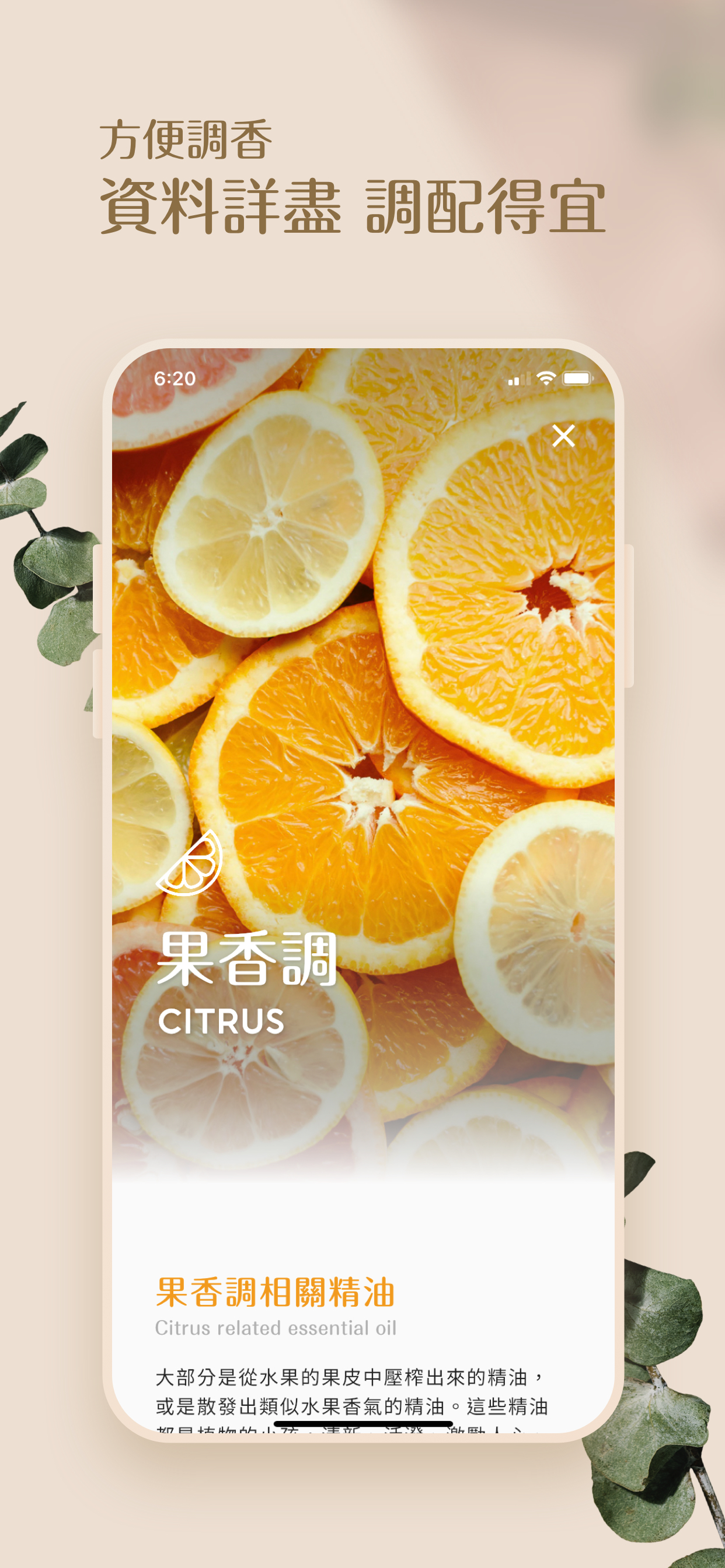 芳香索引 Aroma Index