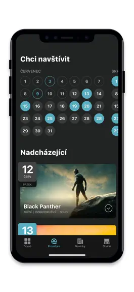 Game screenshot Pardubické letní kino apk