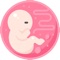 The 9 Month Journey is an app that tracks Pregnancy Week By Week 