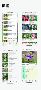 花しらべ 花認識/花検索 screenshot #3 for iPhone