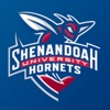 Shenandoah Athletics - iPadアプリ