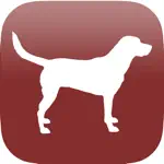 Dog Breed Scanner App Problems