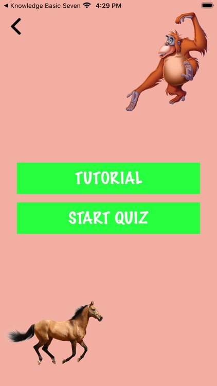 Basic Animal Quiz Game