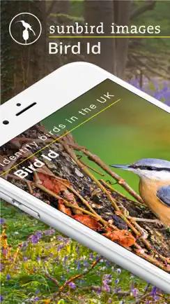 Bird Id - British Isles birds iPhone image 1