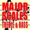 Major Scales includes music printed exercises to become a better musician on your instrument