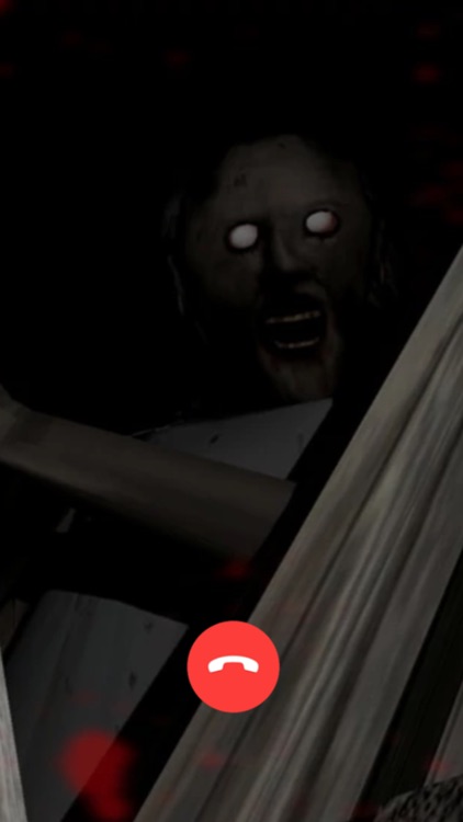 Call Granny & Talk screenshot-4