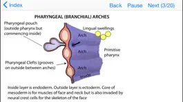 Game screenshot Embryology Lectures hack