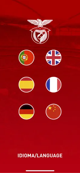 Game screenshot Benfica Tour 360 apk