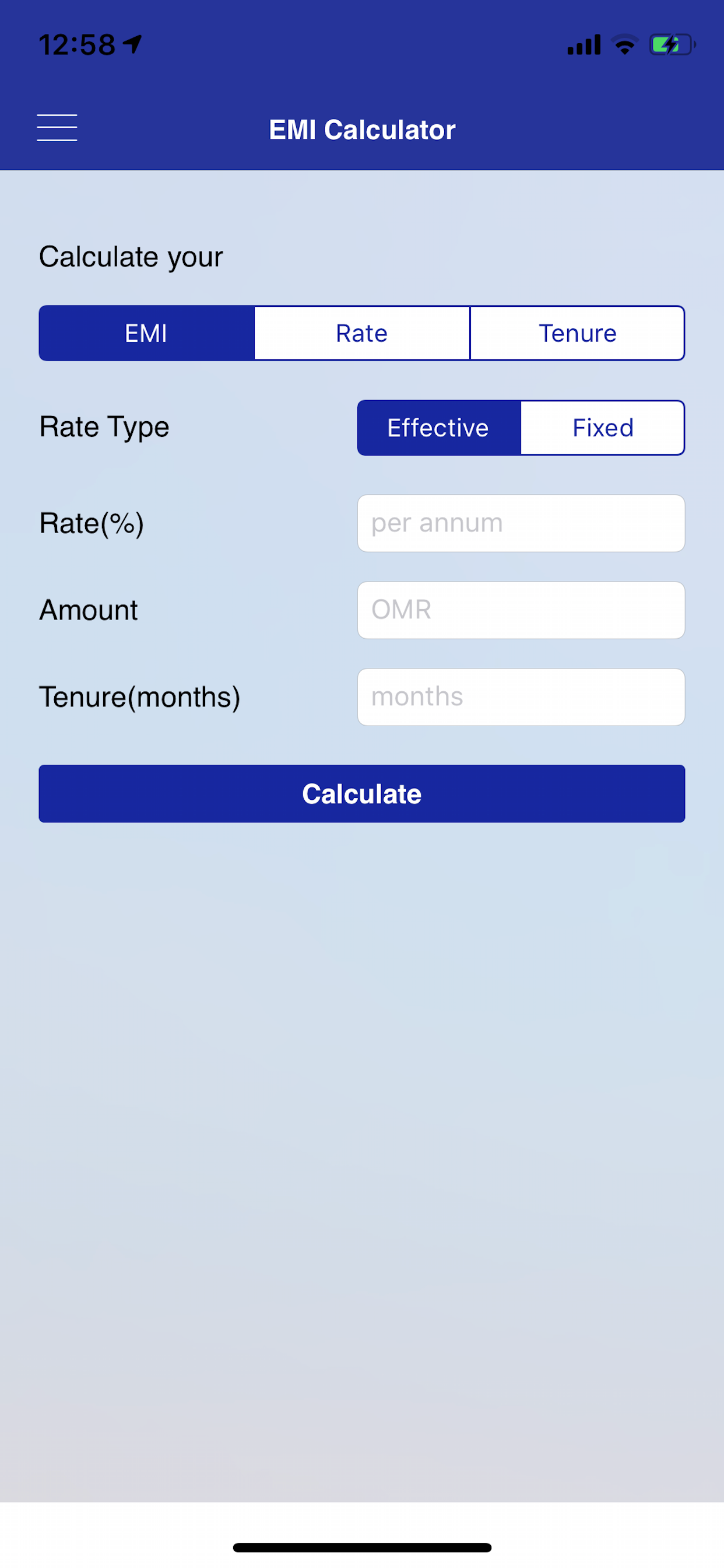 National Finance screenshot 4