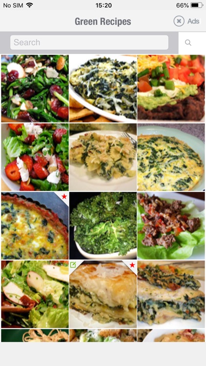 Healthy Green Recipes