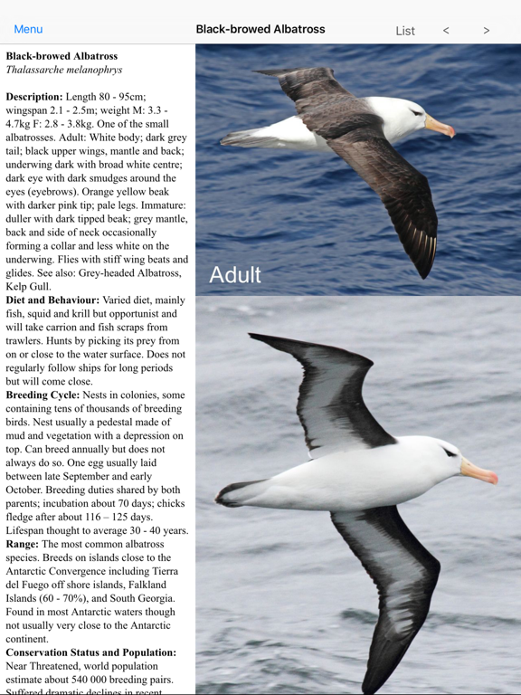 Screenshot #4 pour Antarctic Wildlife Guide