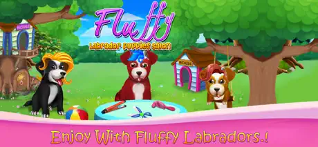 Fluffy Labrador Puppies Salon