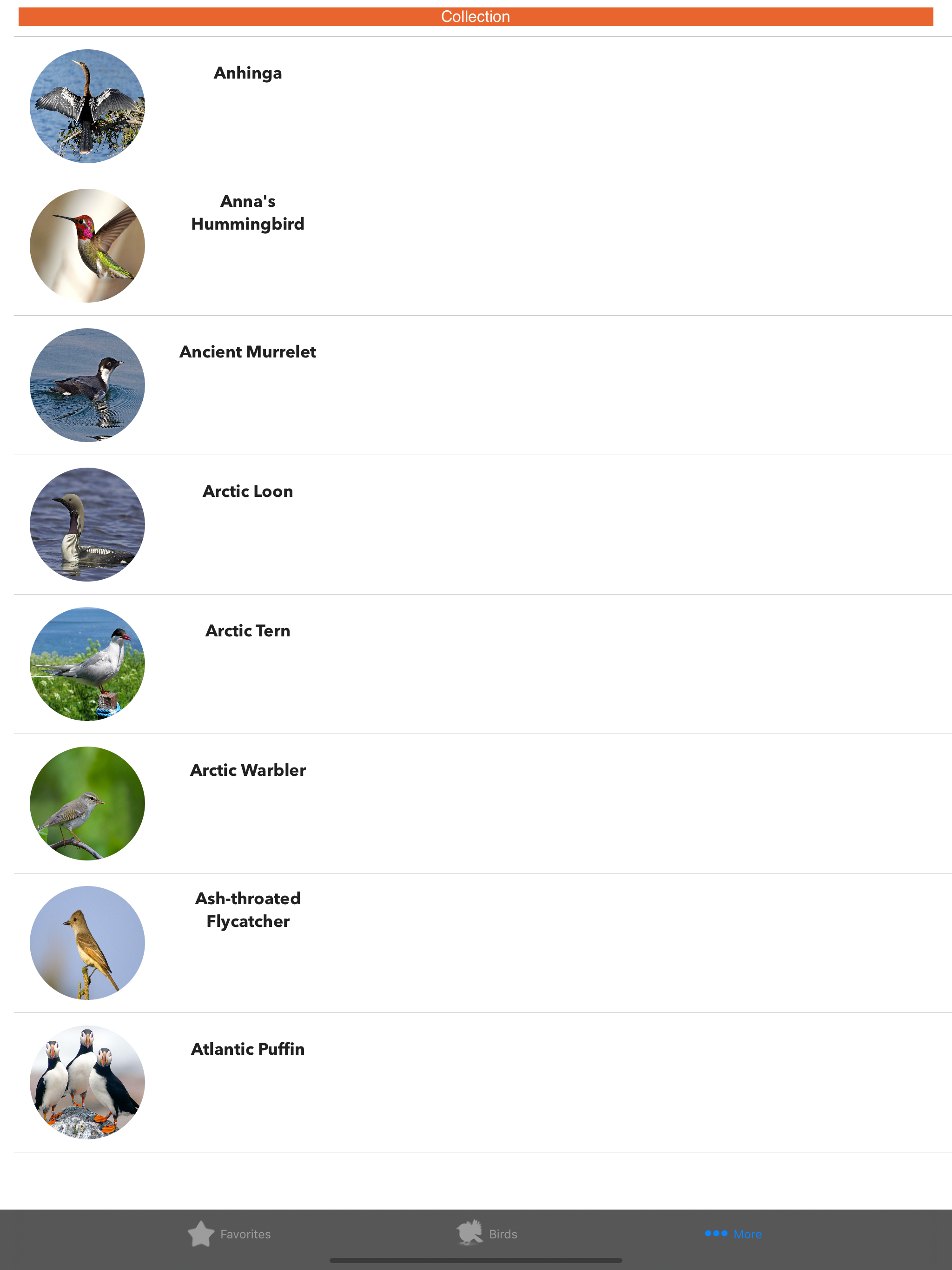 Birds of North America