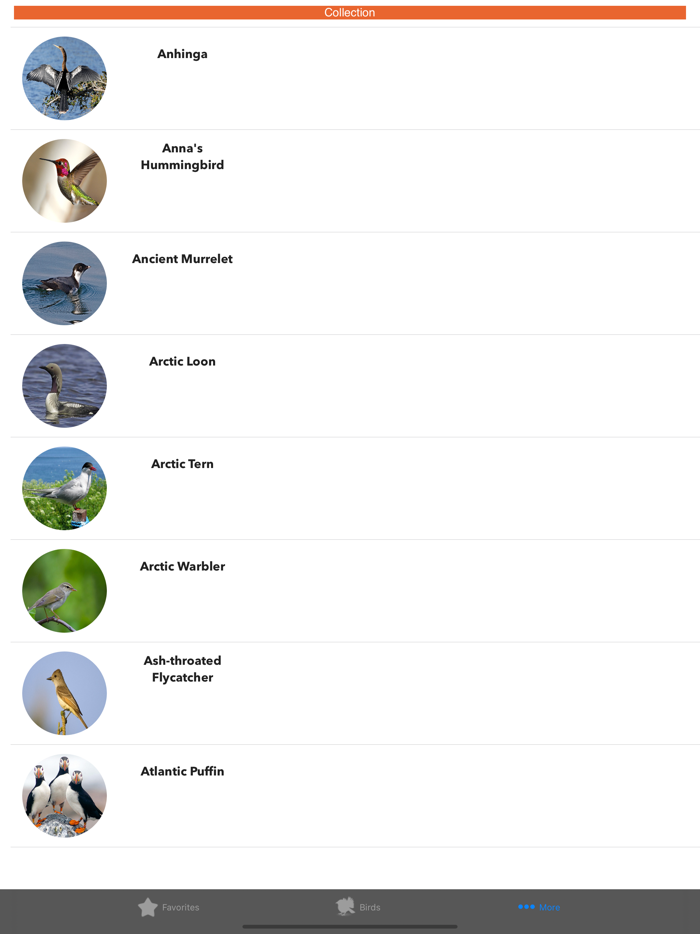 Birds of North America