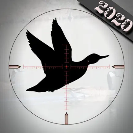 Duck Hunting Calls - Читы