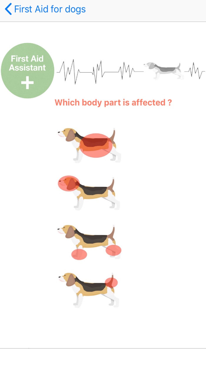 first aid for dogs K9