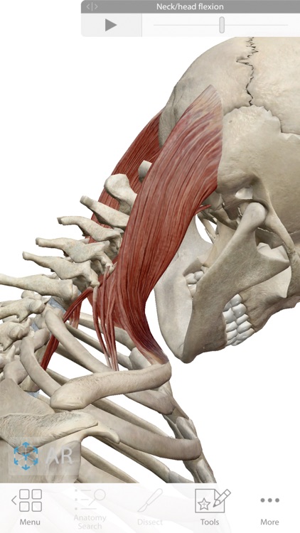 Human Anatomy Atlas 2020 screenshot-7