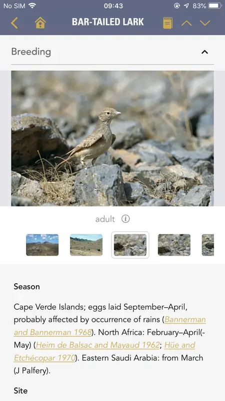 BWP screenshot 5 of 9