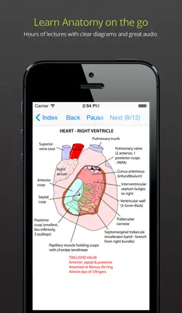 Game screenshot Anatomy Lectures and MCQs mod apk