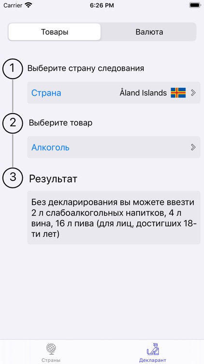 Simple Customs screenshot-3