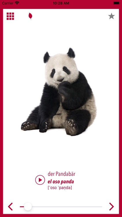 Picture Dictionary Spanish