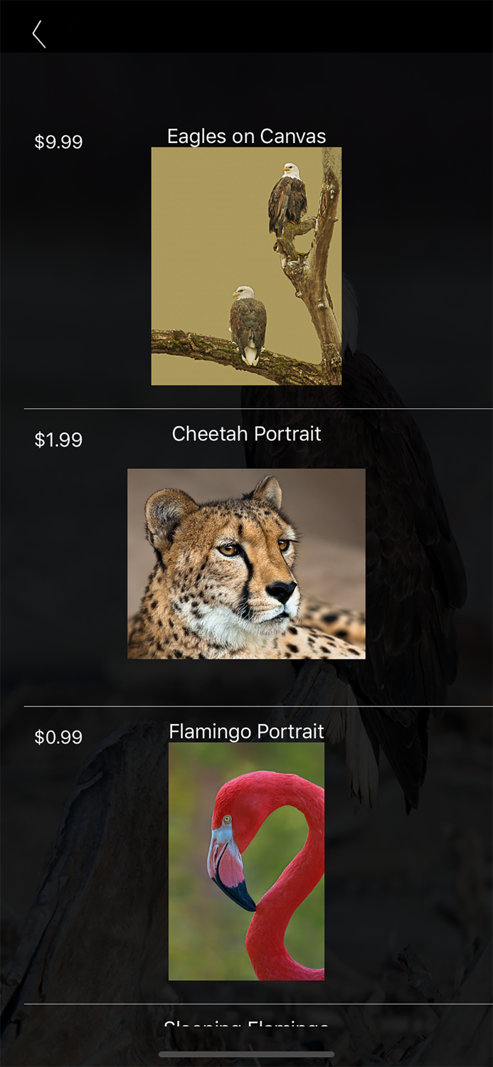 Nature and Wildlife Pictures