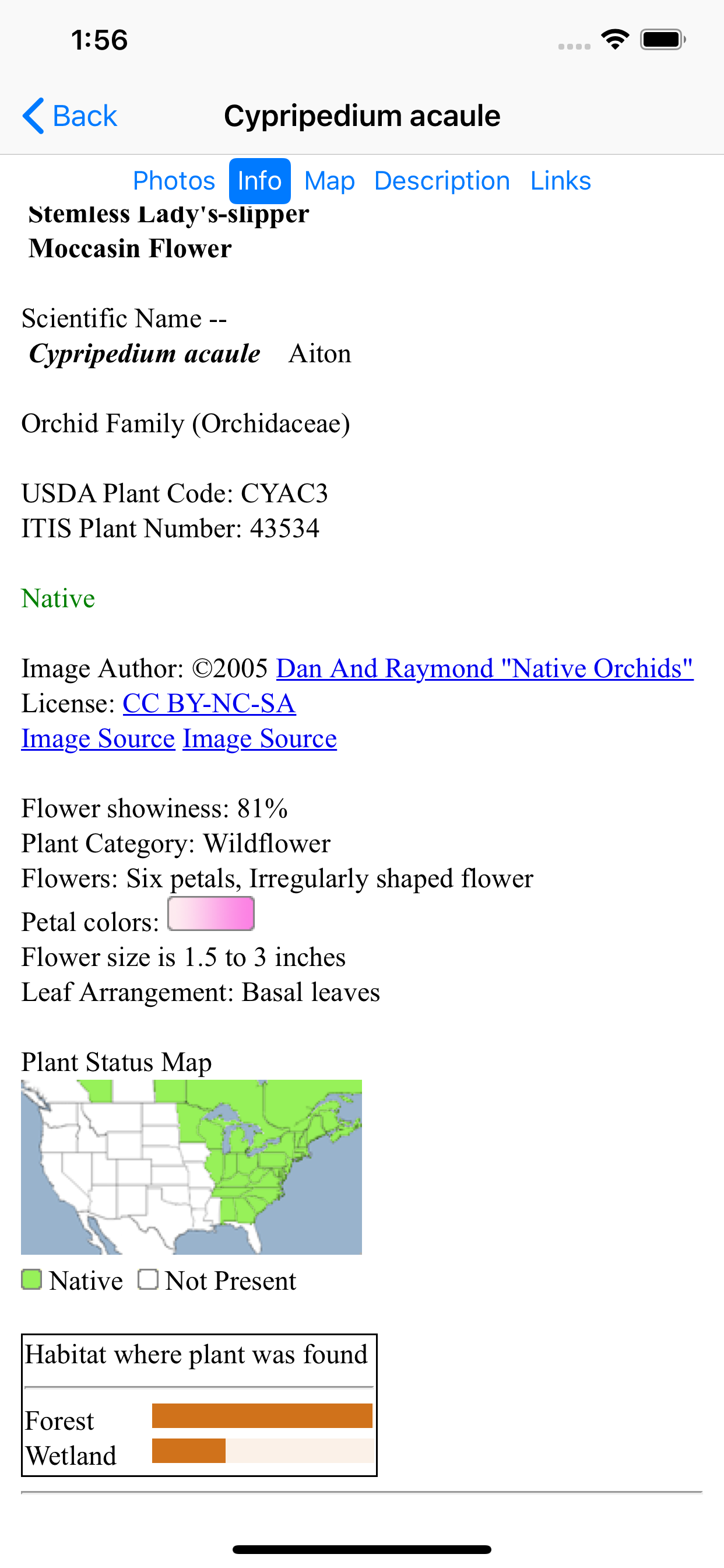 Wisconsin Wildflowers