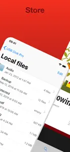USB Disk Pro screenshot #2 for iPhone