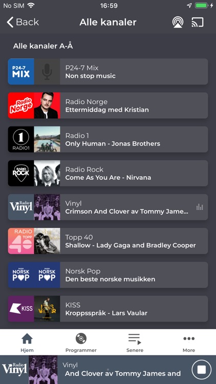 Radio Vinyl screenshot-6