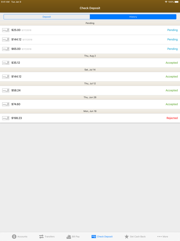 First Choice Credit Union iPad screenshot 8 - Finance app