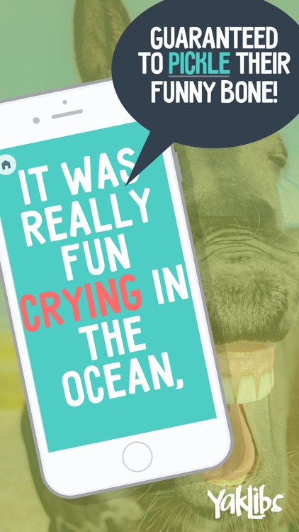 YakLibs-Classroom Madlibs Game screenshot-8