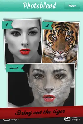 Game screenshot Photoblend Pro blend your pics apk