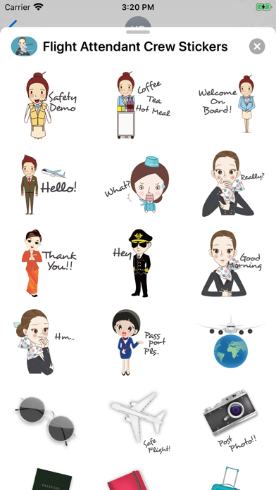 Flight Attendant Crew Stickers screenshot 2