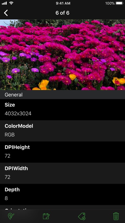 Exif Manager PRO