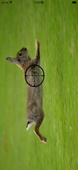 Game screenshot Rabbit Hunting calls mod apk