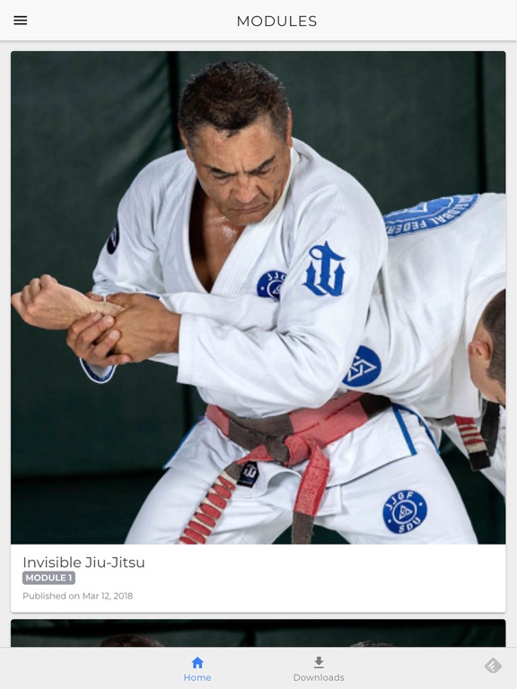 Screenshot #4 pour Self Defense Unit