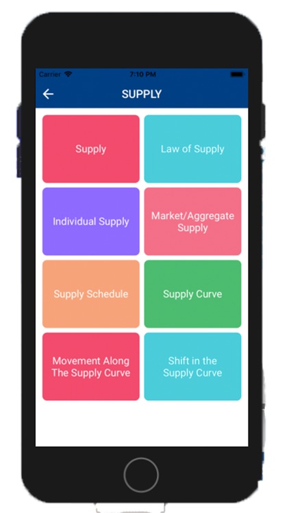 Leaving Cert Economics screenshot-3