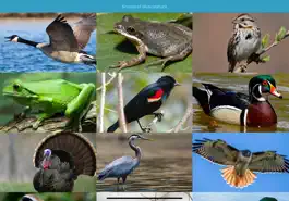 Game screenshot Muscatatuck Wildlife mod apk