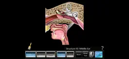Game screenshot Middle Ear ID mod apk