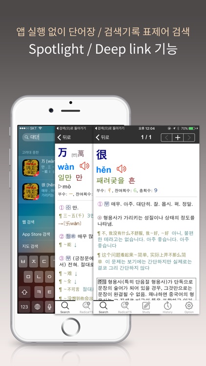고려대 중한사전 - ChKo DIC screenshot-3