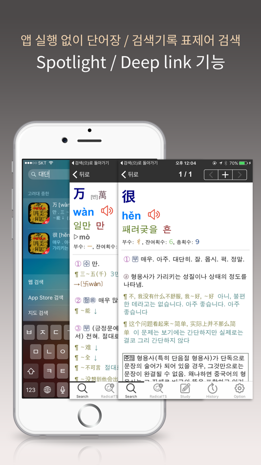 #4. 고려대 중한사전 - ChKo DIC (iOS) 由: DaolSoft, Co., Ltd.